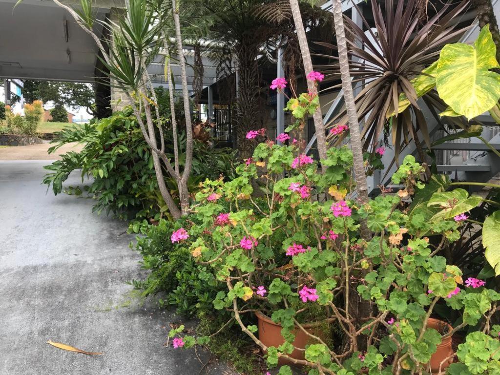 Coffs Shearwater Motel Coffs Harbour Eksteriør billede